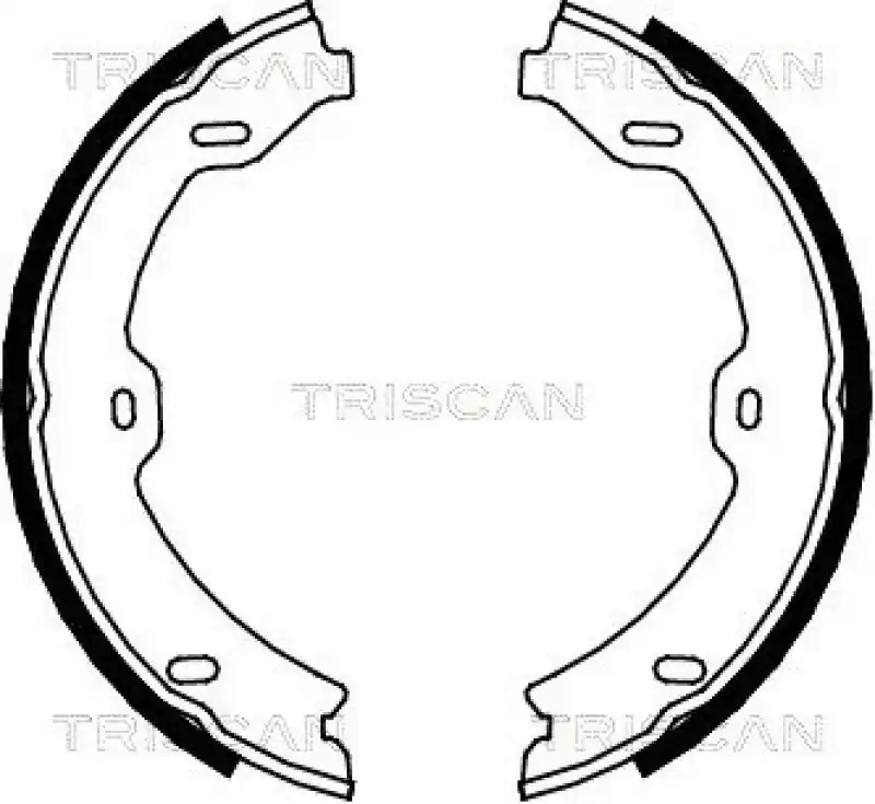 Ausverkauf TRISCAN Bremsbackensatz, Feststellbremse 8100 23031