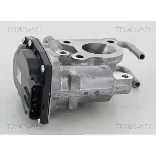 Schneller Versand TRISCAN AGR-Ventil 8813 13021