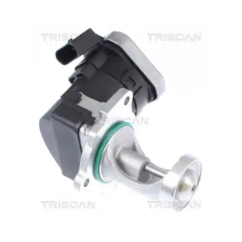 Geprüft TRISCAN AGR-Ventil 8813 29043