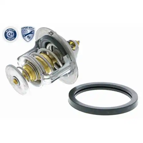 Finale Aktion ACKOJA Thermostat, Kühlmittel EXPERT KITS + A32-99-1703