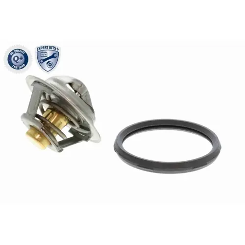 Rabatt ACKOJA Thermostat, Kühlmittel EXPERT KITS + A38-99-0033