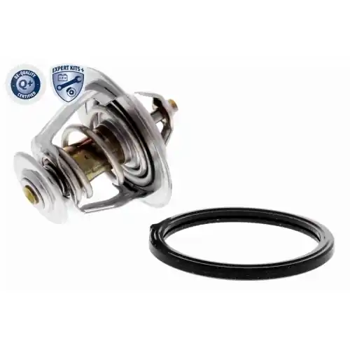 Solange Der Vorrat Reicht ACKOJA Thermostat, Kühlmittel EXPERT KITS + A53-99-0011